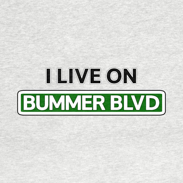 I live on Bummer Blvd by Mookle